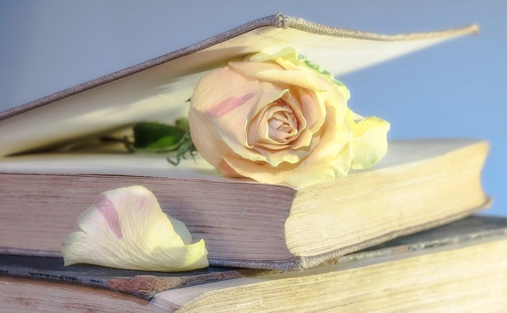 I 7 libri da regalare a un'amica speciale - Junglam