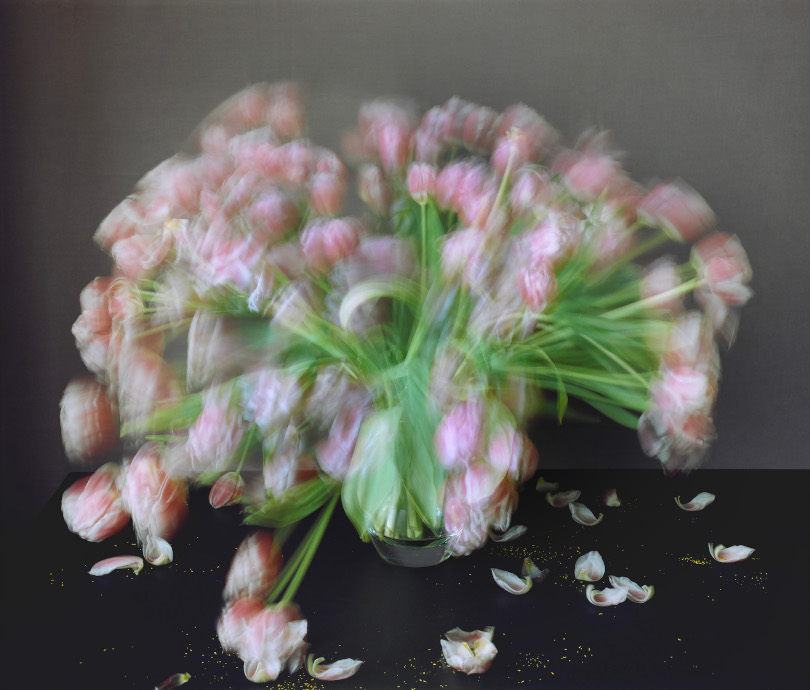 Michael Wesely, B7949 Stilleben